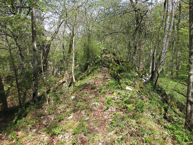 Ruine Hohengenkingen, Sonnenbühl, Germany